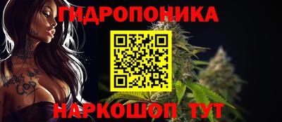 прущие крисы Ставрополь
