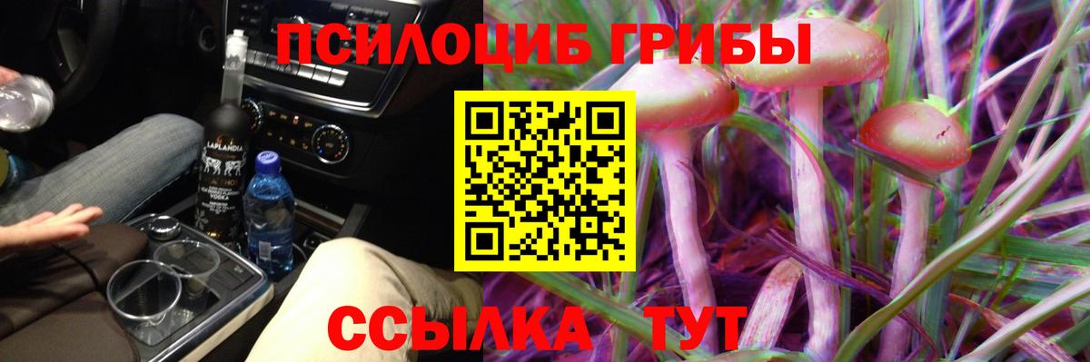 Псилоцибиновые грибы MAGIC MUSHROOMS  Вход с VPN  Похвистнево 