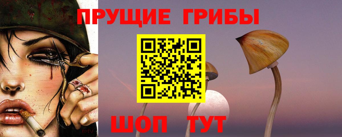 Псилоцибиновые грибы Cubensis Похвистнево